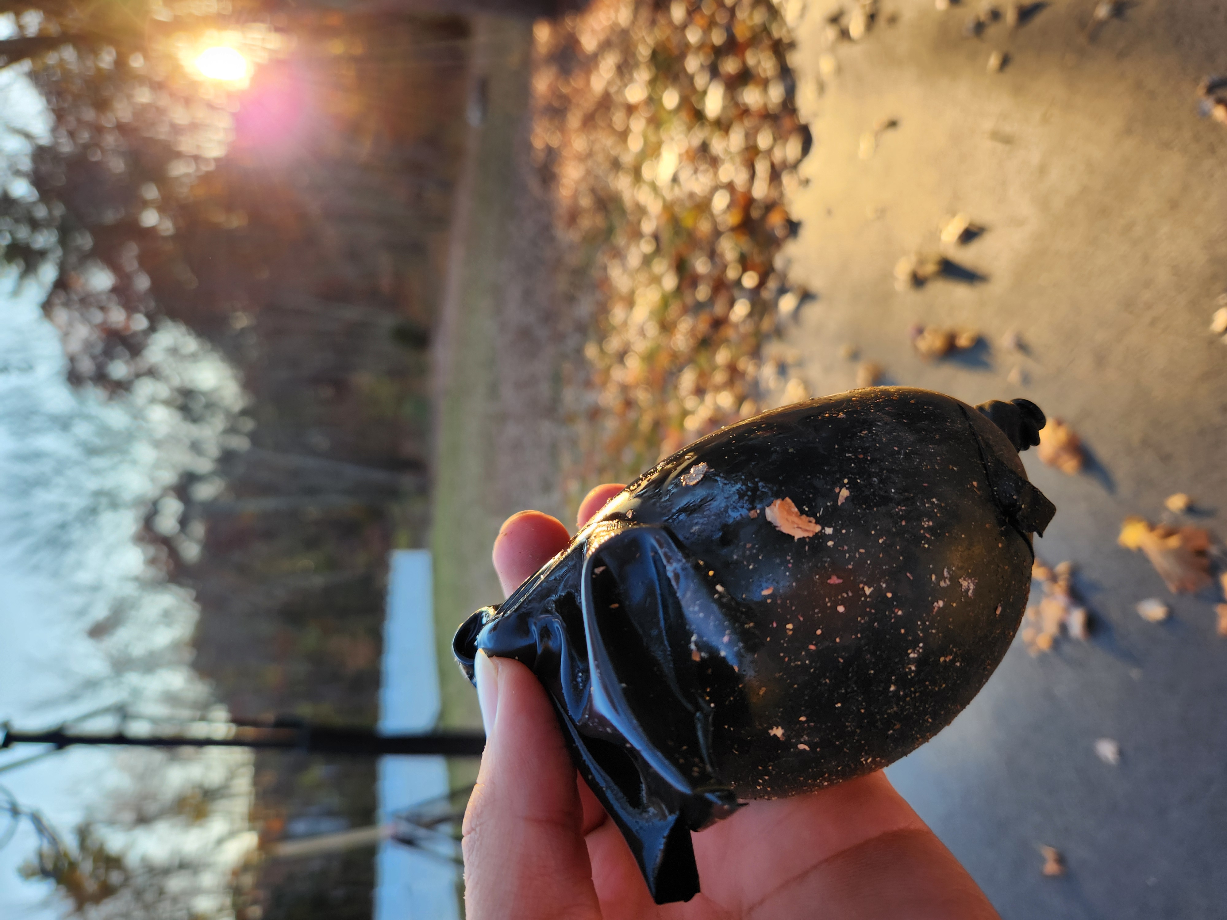 Double layered water balloon,
                top layer broken, cast in the glow of the setting sun